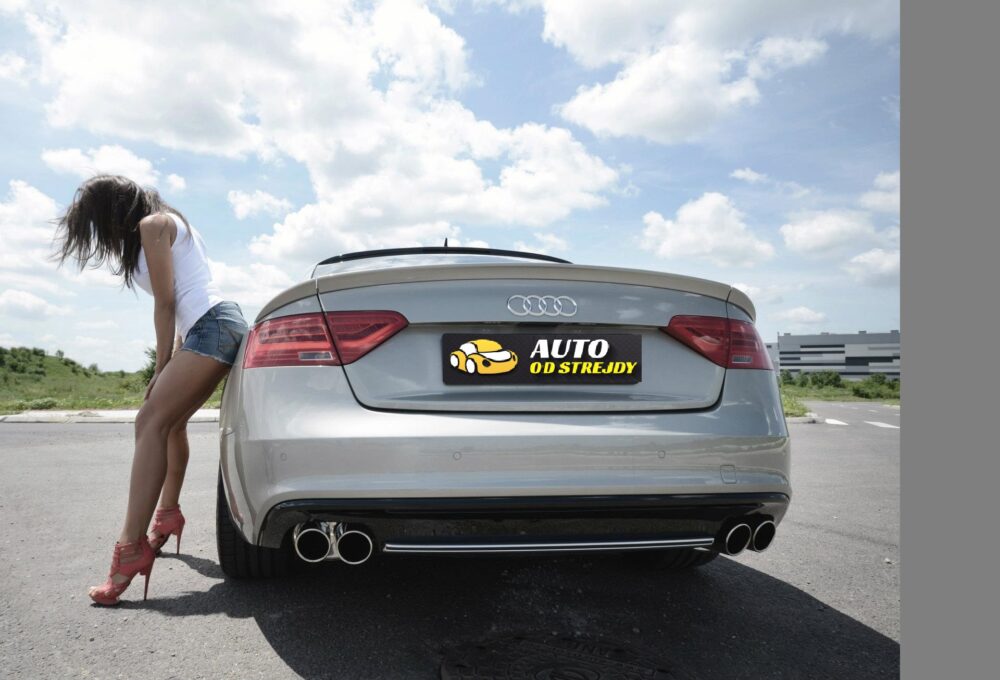 Netradiční autopůjčovna, se kterou vyděláte slušný balík