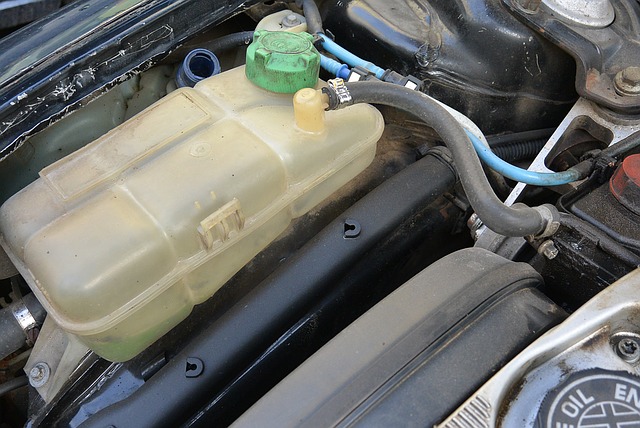 Kuna může poškodit vaše auto. Poradíme, jak ji odpudit